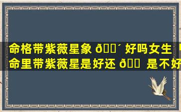 命格带紫薇星象 🌴 好吗女生「命里带紫薇星是好还 🐠 是不好呢」